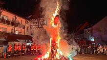 Bild : Bilder vom Hemedglonkerball in Stockach