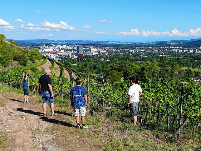 Die Lauschtour führt durch den Weinberg und bietet Familie Bossenmaier einen Blick auf die Stadt Singen, von links: Falko, Markus, Hansi ...