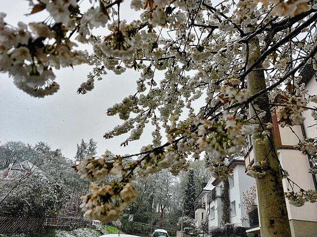 Bild 14: Ein Winterspaziergang im April: So sieht es in Villingen und St. Georgen am Sonntagmorgen aus