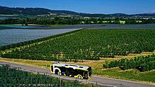 Wer im Bodo-Verbundgebiet – zum Beispiel bei Frickingen – Bus fährt, muss ab August tiefer in die Tasche greifen. Bei der Preiserhöhung ...
