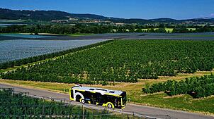 Wer im Bodo-Verbundgebiet – zum Beispiel bei Frickicken – Bus fährt, muss ab August tiefer in die Tasche greifen. Bei der Preiserhöhung ...