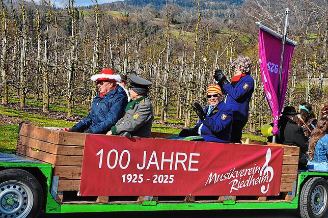 Bild 13: Narren bekunden ihre Macht durch Narrenbaumsetzen
