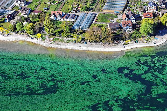 So schön ist der Bodensee dennoch selten: Konstanz oder Karibik, das ist hier die Frage.