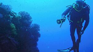 Wissen Sie, was so alles im See herumschwimmt? In unserem Quiz finden Sie es heraus!
