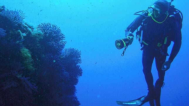 Wissen Sie, was so alles im See herumschwimmt? In unserem Quiz finden Sie es heraus!