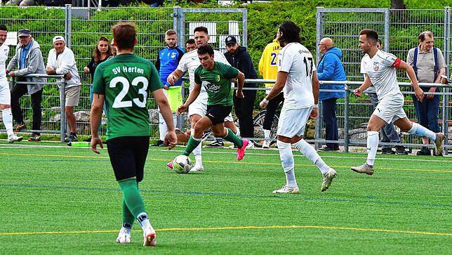 Bild 4: SV Herten besiegt den VfB Waldshut mit 3:0 &ndash; und wir haben die Bilder!