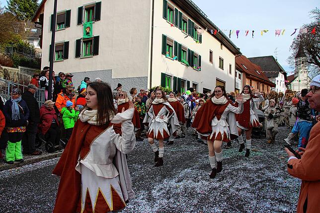 Bild 10: Bilder vom Umzug beim 35. Schlüchttalnarrentreffen &ndash; Teil 2