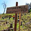 Bild :