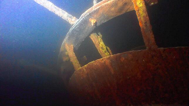 2016: Seit mehr als 150 Jahren liegt das Wrack gut erhalten vor Bottighofen in 38 Metern Tiefe.