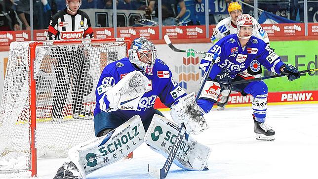 Steht nach zehntägiger Corona-Quarantäne wieder im Kader der Wild Wings: Torhüter Joacim Eriksson.