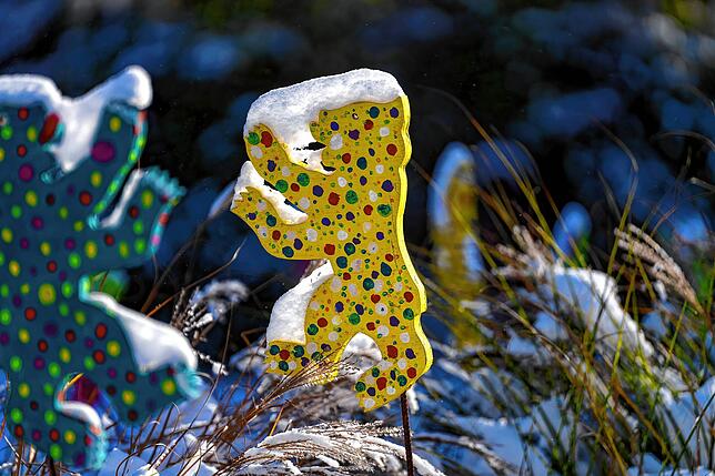 Bild 10: Wintereinbruch im Schwarzwald verschönert durch Schnee und Sonne