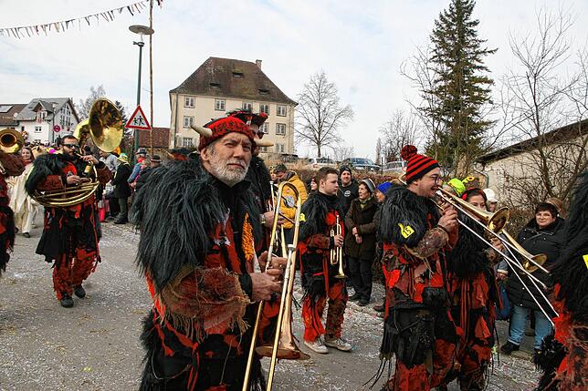 Bild 5: So schön war der Jubiläumsumzug zum 60 jährigen Bestehen der Sunnelöscherzunft