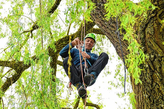 Auf der Trauerweide: Wolfgang Ertel im Mai 2021 beim Besetzen des Hochschulbaums.