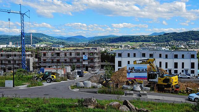 Das Neubaugebiet Leimet III in Bad Säckingen – im Hintergrund das Sisslerfeld in der Schweiz. Vor allem die chemische Industrie wird ...