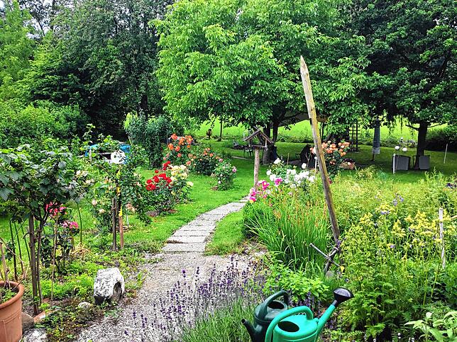 „Zu unseren 12 Tulpen im Rasen würden 50 neue gut passen.“ I Garten von Franz und Angelika Förg, Deisendorf