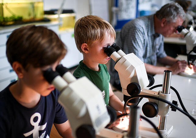 Mühsame Arbeit: Johannes (l.) und Johann schauen auf der Suche nach Kleinstmeteoriten im Berliner Naturkundemuseum durch Mikroskope.