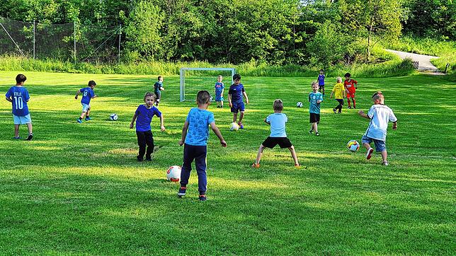 In Zukunft sollen die Kinder in der F- und G-Jugend an den neuen Fair-Play-Spieltagen noch mehr Ballkontakte bekommen.