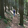 Trotz schöner Wanderwege haben die Hotzenwald-Gemeinden 2017 gegenüber dem Vorjahr ein Minus in den Übernachtungen erzielt.