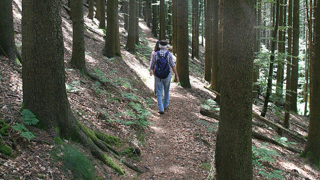 Trotz schöner Wanderwege haben die Hotzenwald-Gemeinden 2017 gegenüber dem Vorjahr ein Minus in den Übernachtungen erzielt.