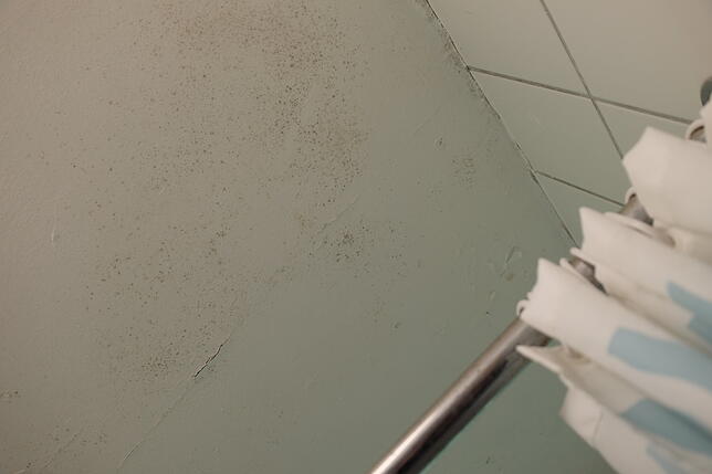 Schimmel bildet sich an den Wänden und an der Decke der sanitären Einrichtungen.