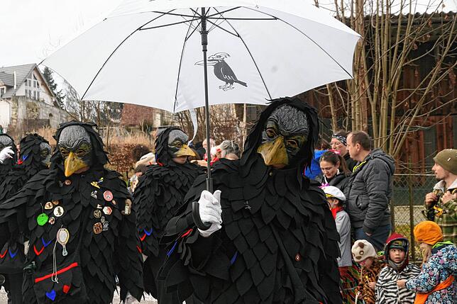 Bild 40: Die schönsten Bilder vom Jubiläumsumzug der Sunnelöscherzunft