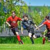 Bild :