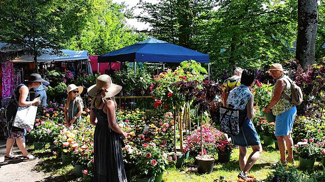 Die Gartenmesse Diga auf dem Schloss Beuggen vor den Toren Rheinfeldens hat zu einem Rechtsstreit vor dem Landgericht Freiburg zwischen ...