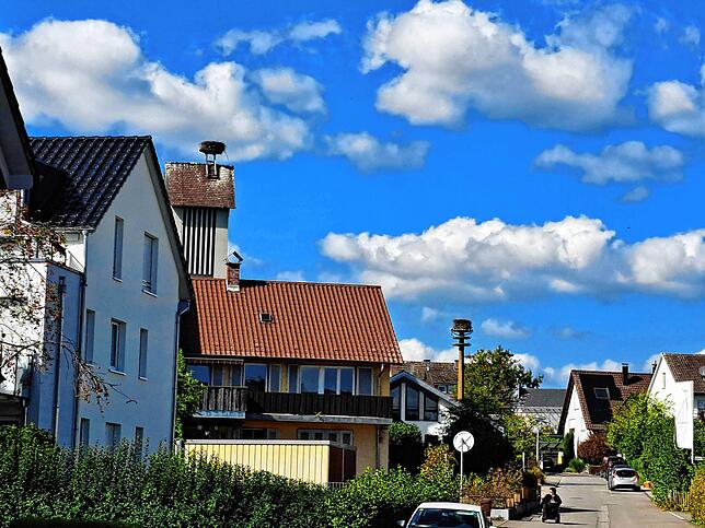 Für einige Horste wurden in Böhringen Nisthilfen gebaut.