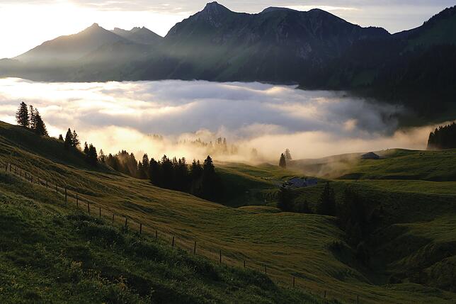 Ein unbeschreiblich schöner Blick von der Alp auf die Wolken ins Tal.