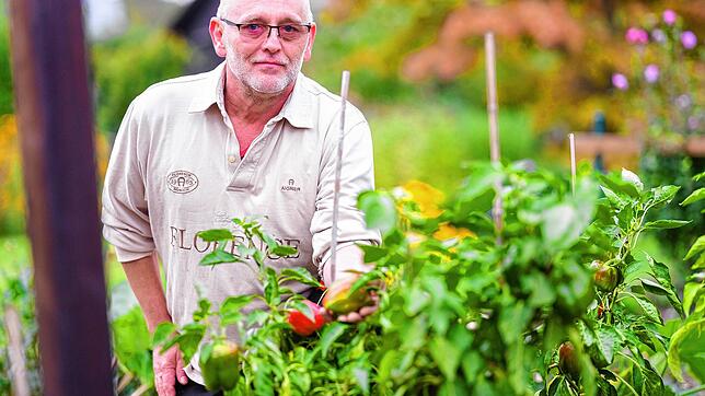 René Dittrich ist stolz auf alles, was in seinem Garten gedeiht, zum Beispiel Paprika. Er aß schon lange vor steigenden ...