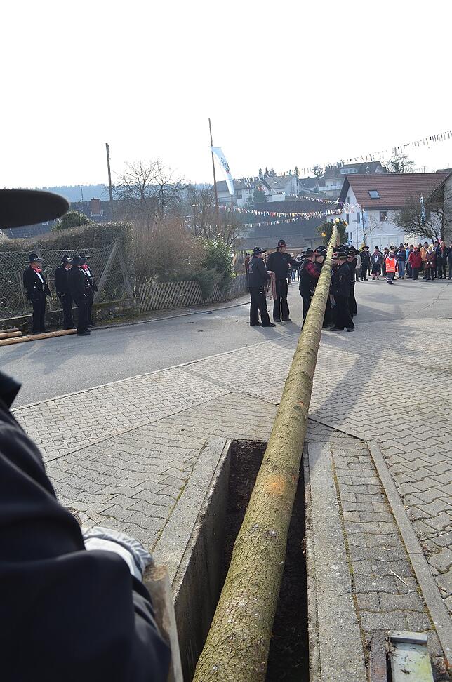 Bild 6: Bilder von den Narrentagen in Eigeltingen &ndash; Der Narrenbaum