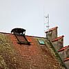 Das Storchennest auf dem Turm des Markdorfer Bischofsschlosses wird dieses Jahr leer bleiben.