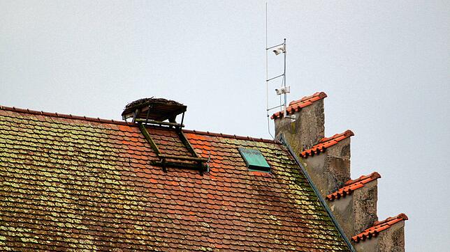 Das Storchennest auf dem Turm des Markdorfer Bischofsschlosses wird dieses Jahr leer bleiben.