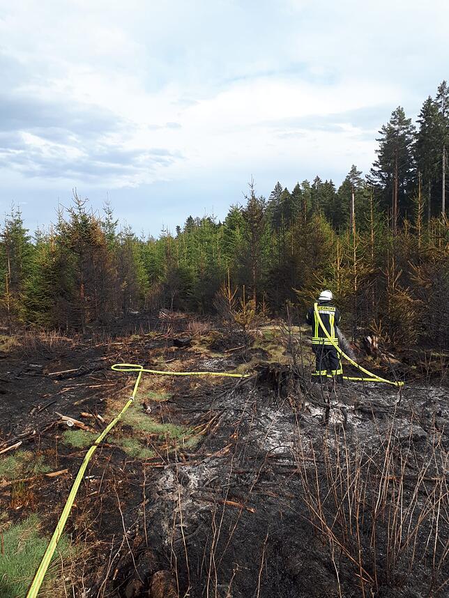 Rund 500 bis 700 Quadratemeter Waldfläche sind von dem Brand betroffen.
