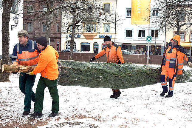 Tannenbäume 01, 4 starke Männer der TDVS tragen den Baum in den Innenhof des Franziskanermuseums.