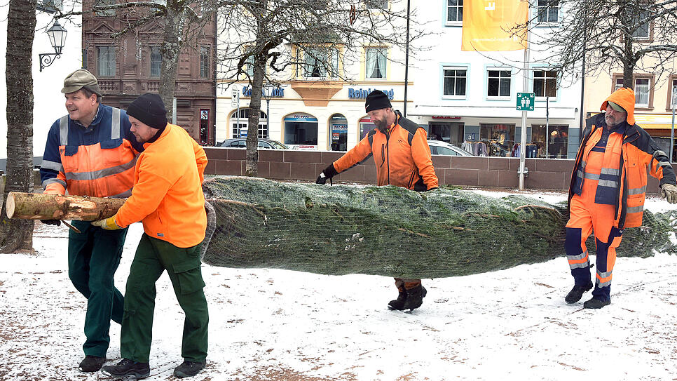 Tannenbäume 01, 4 starke Männer der TDVS tragen den Baum in den Innenhof des Franziskanermuseums.