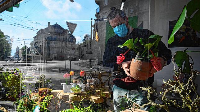 Ein Angestellter dekoriert am 27. April das Schaufenster eines Blumenladens im schweizerischen Lausanne. Ab Montag, 11. Mai, ist es auch ...