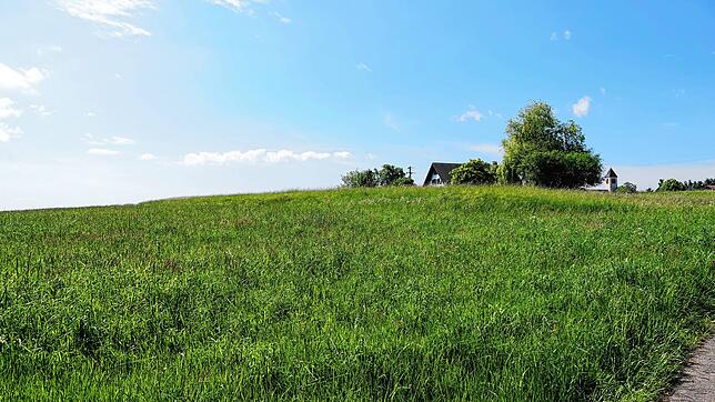 Noch wird das Gelände landwirtschaftlich genutzt: Hier könnte eine Freiflächen-Photovoltaikanlage errichtet werden. Foto: Peter Schütz