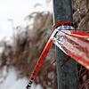Am Wochenende des 16. Januar flattern vor dem Haus des Getöteten in Hohenfels-Liggersdorf Absperrbänder der Polizei im Wind.