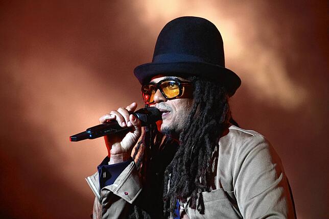 Bild 15: Southside 2022: Bilder vom Konzert von Seeed am Samstag