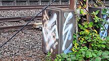 Auf dem Stromkasten für einen Signalmast am Bahnhof Konstanz-Fürstenberg wurde ein Hakenkreuz gesprüht.