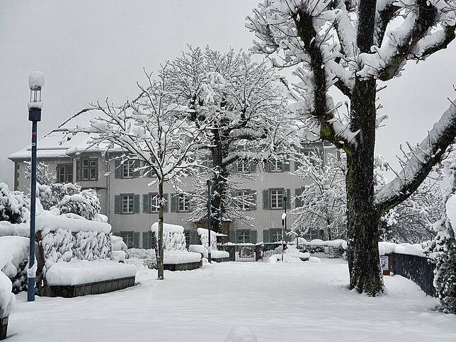 Bild 8: Es hört nicht auf zu schneien: Waldshut versinkt im Schnee