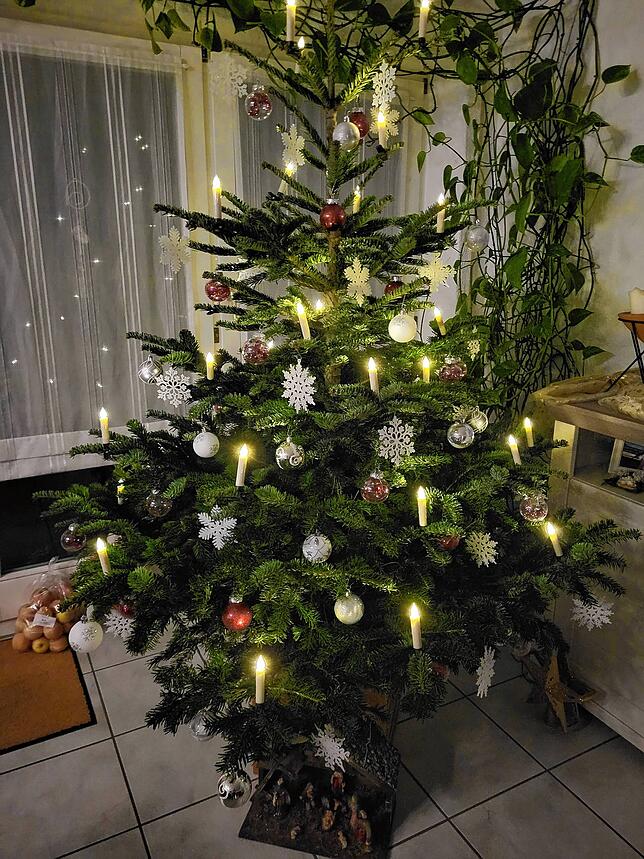 So sieht der Baum von Familie Vallböhmer aus Jestetten aus.