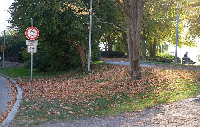Nach Beschluss des Verkehrsausschusses im vergangenen März, sollten auf dieser Fläche in der Seestraße 15 Motorradstellplätze entstehen.