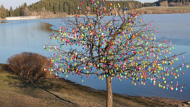 Da war die Welt noch in Ordnung : Ganze Heerscharen von Spaziergängern bestaunten den stolzen Osterbaum am Kirnbergsee bei Unterbränd.