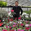 Bernd Kramm, Leiter der Stadtgärtnerei Waldshut-Tiengen, inmitten der Blütenpracht. Die Alpenveilchen werden im Gewächshaus selbst gezogen.