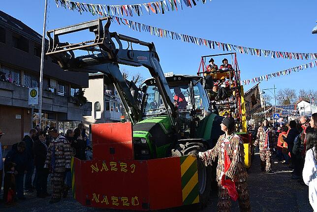 Bild 43: Bilder vom Narrentreffen der Urviecher-Zunft Bad Dürrheim: Großer Festumzug (3)