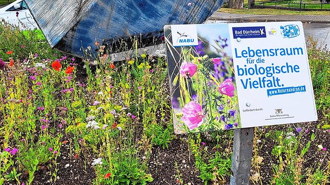 Auch der Rössle-Kreisel wurde im Rahmen der Aktion bepflanzt. Foto: Stadtverwaltung