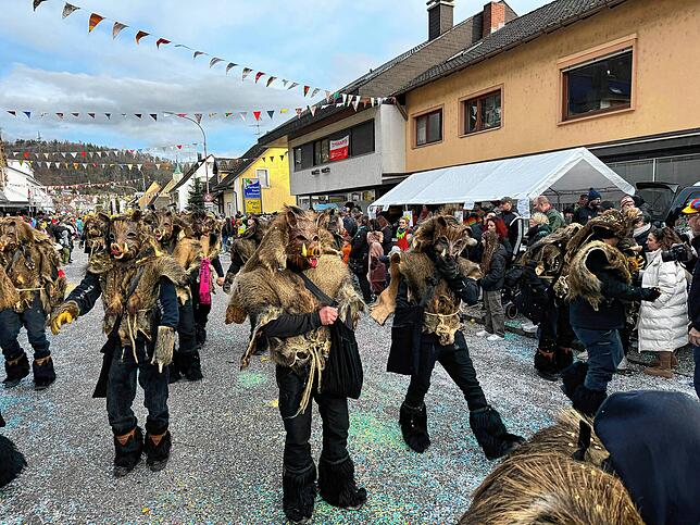 Bild 40: Narren feiern ausgelassen &ndash; Bilder vom Umzug (Teil 2)