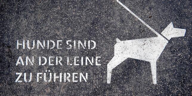 (Symbolbild) In Konstanz wird jetzt über den Leinenzwang für die Vierbeiner diskutiert. Dagegen regt sich aus den Reihen der Hundehalter ...